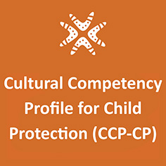 The Cultural Competency Profile for Child Protection (CCP-CP)
